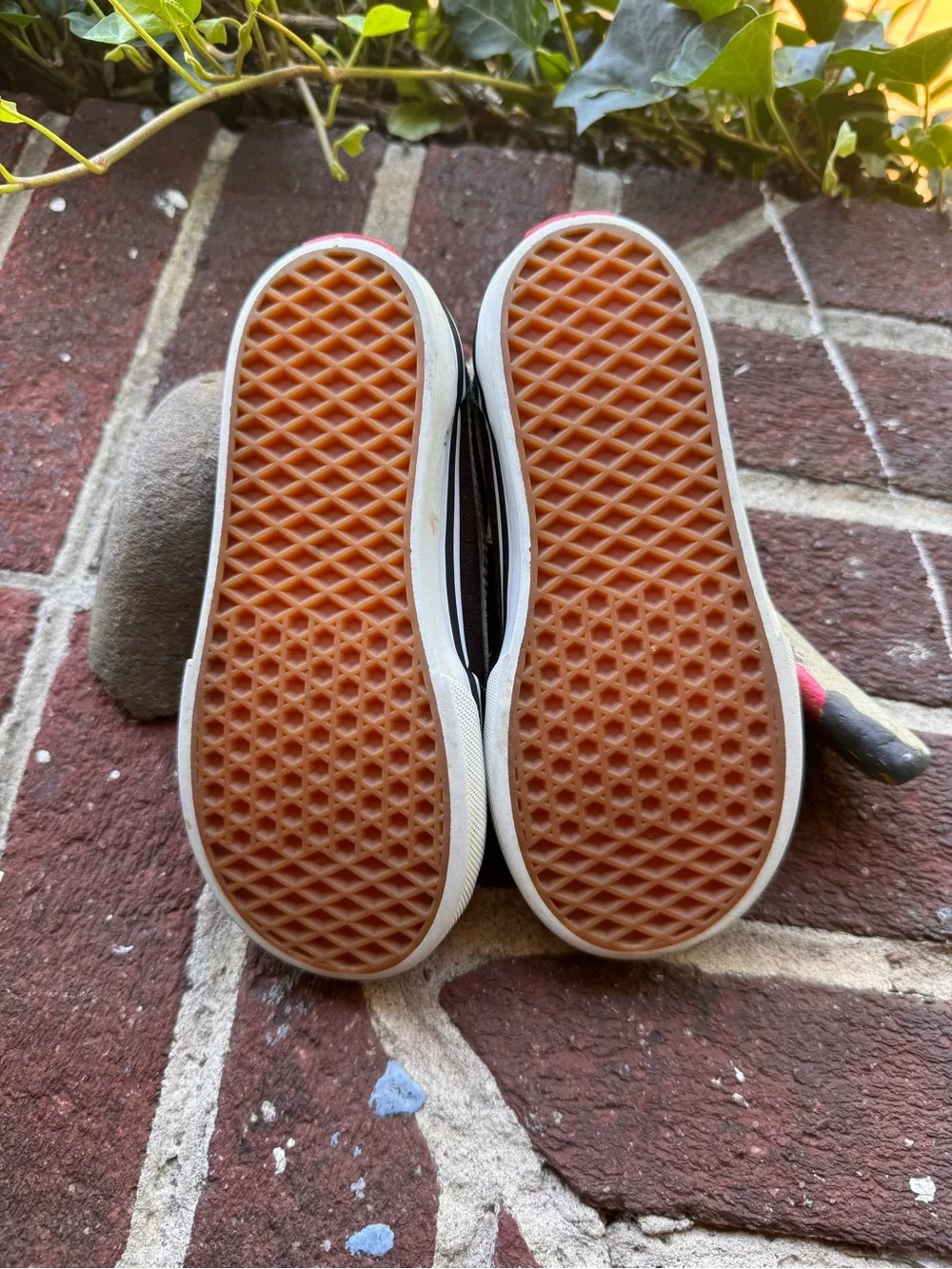 Vans kids velcro
